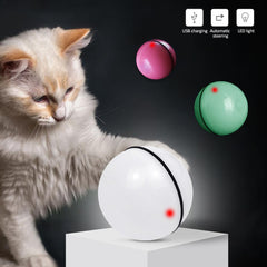 LED Rolling Interactive Cat Toy